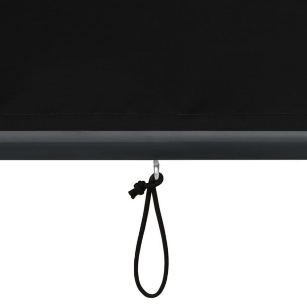Outdoor Roller Blind 100x250 Cm Anthracite Image 7