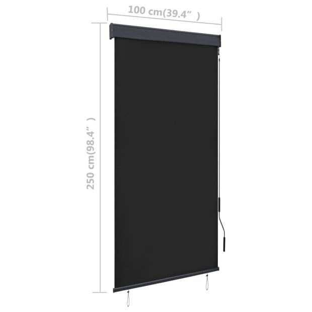 Outdoor Roller Blind 100x250 Cm Anthracite Image 8