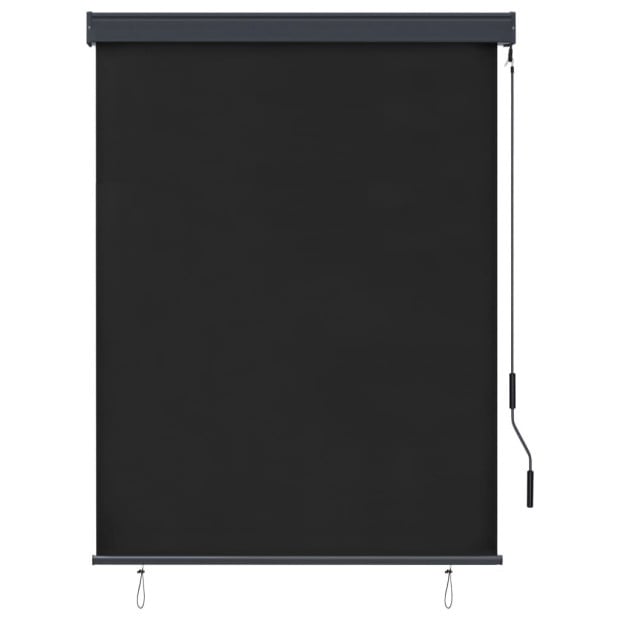 Outdoor Roller Blind 120x250 Cm Anthracite Image 2
