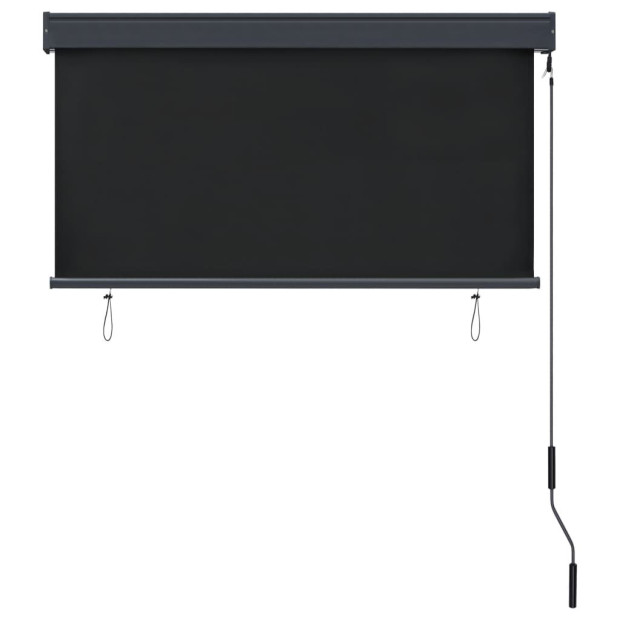 Outdoor Roller Blind 120x250 Cm Anthracite Image 3