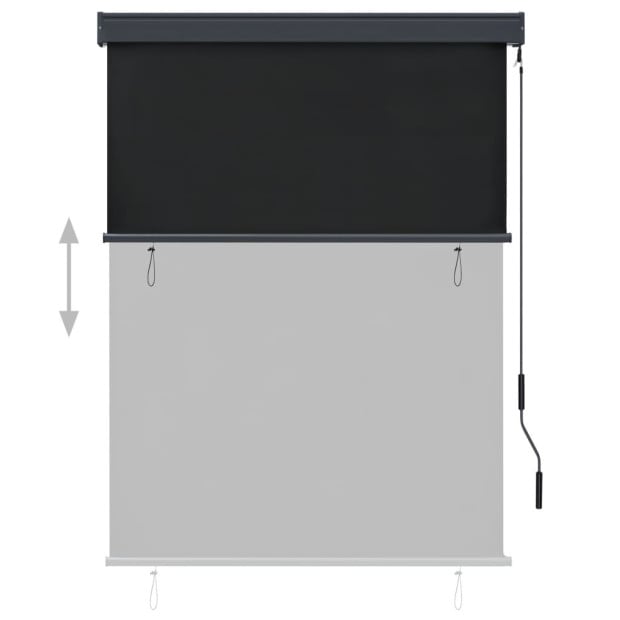 Outdoor Roller Blind 120x250 Cm Anthracite Image 4