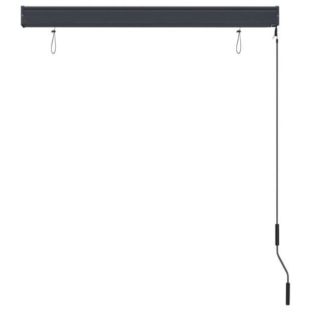 Outdoor Roller Blind 120x250 Cm Anthracite Image 5