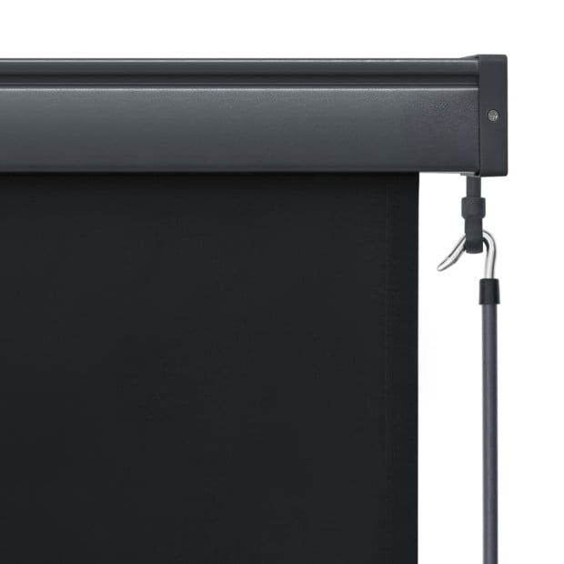Outdoor Roller Blind 120x250 Cm Anthracite Image 6