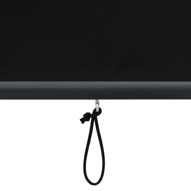 Outdoor Roller Blind 120x250 Cm Anthracite Image 7