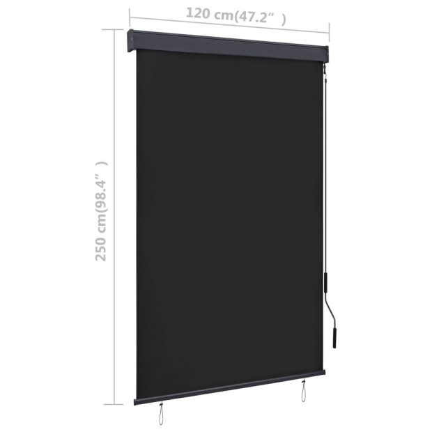 Outdoor Roller Blind 120x250 Cm Anthracite Image 8