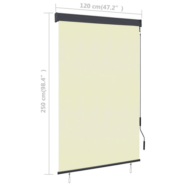 Outdoor Roller Blind 120x250 Cm Cream Image 8