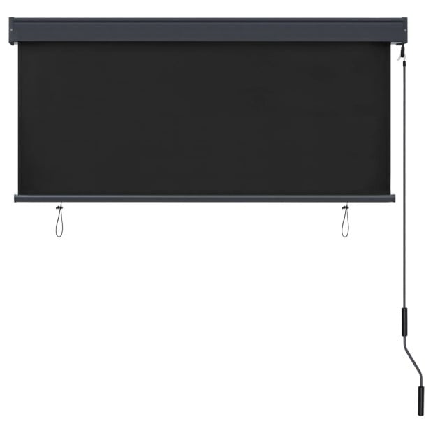 Outdoor Roller Blind 140x250 Cm Anthracite Image 4