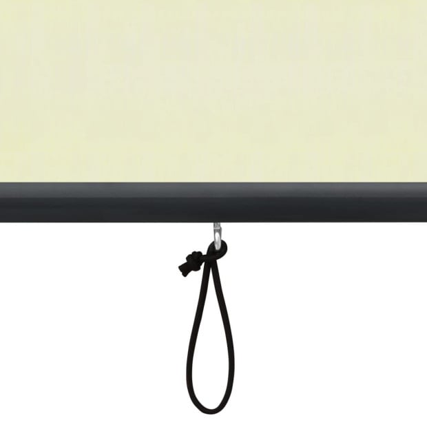Outdoor Roller Blind 140x250 Cm Cream Image 7