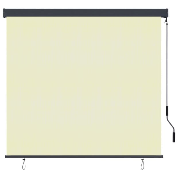 Outdoor Roller Blind 160x250 Cm Cream Image 2