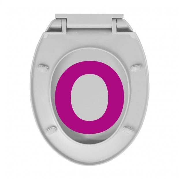 Soft-close Toilet Seat Quick Release Light Grey Oval Image 9