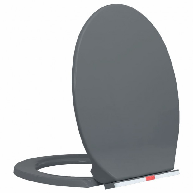 Soft-close Toilet Seat Quick Release Grey Oval Image 3