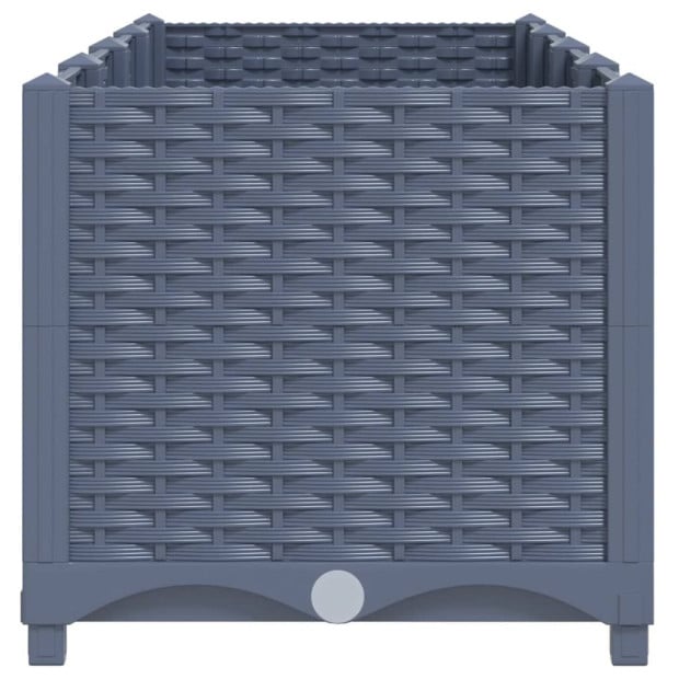 Raised Bed 160x40x38 Cm Polypropylene Image 4