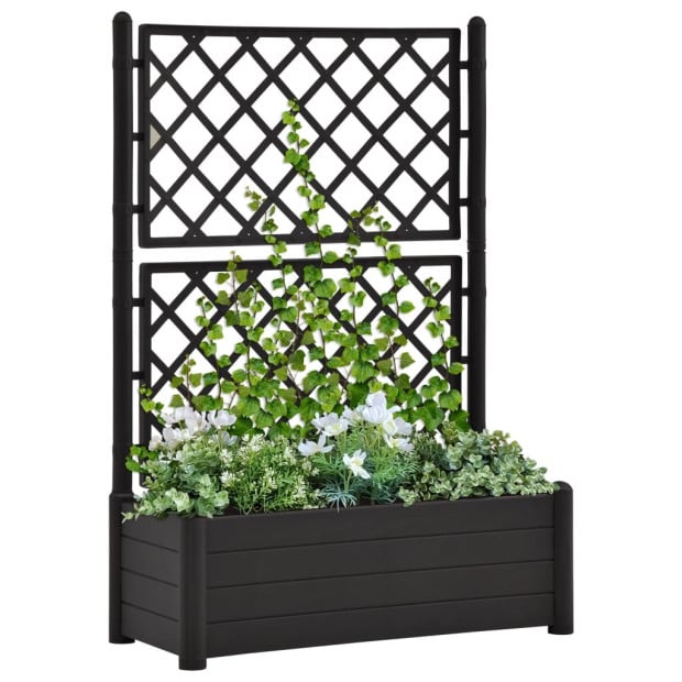 Garden Planter With Trellis 100x43x142cm Pp Anthracite