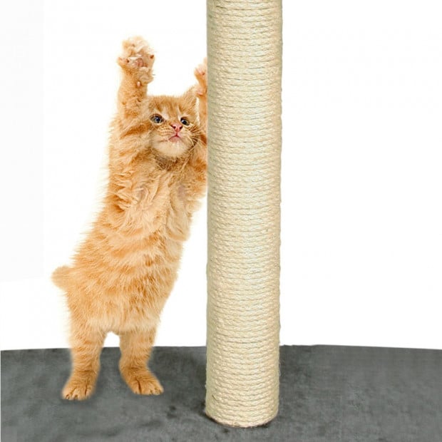 2.1m Cat Scratching Post Tree Cream Image 5