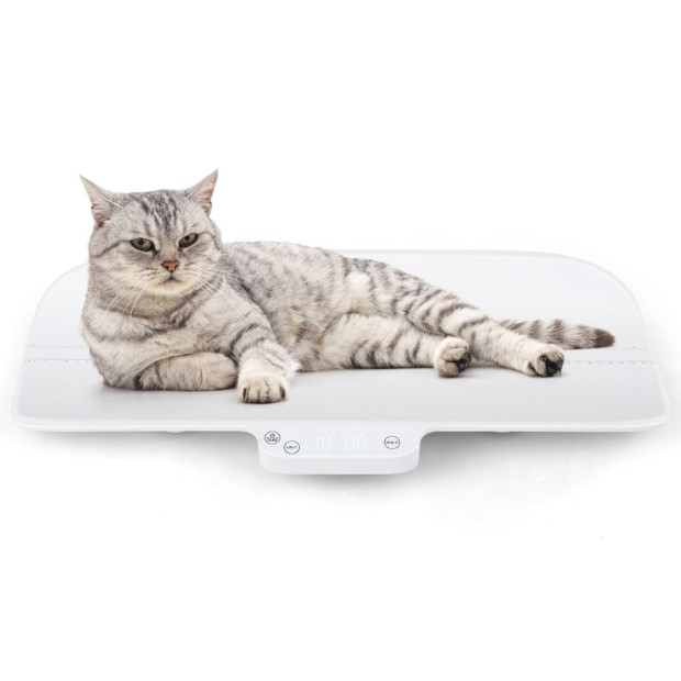 Digital Baby Scale With Tare & Hold Function Image 3
