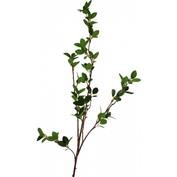 Jade Boxwood Spray 90cm