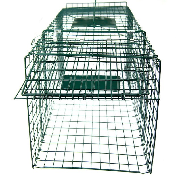 Large Animal Trap