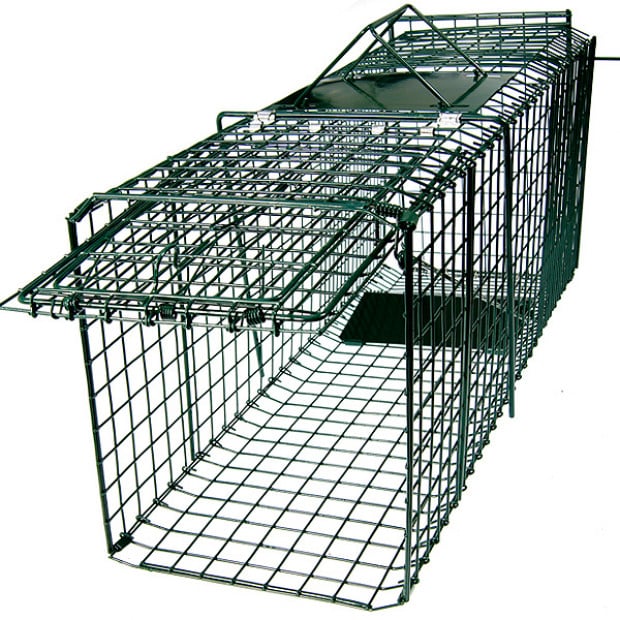 Small Animal Trap Humane Cage Pet  Image 2