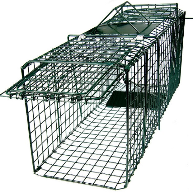 Small Animal Trap Humane Cage Pet Image 2