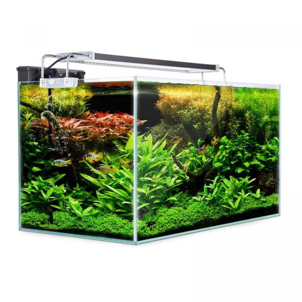 70L Starfire Glass Aquarium Fish Tank