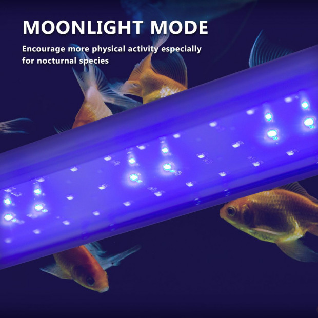 2X Aquarium Blue White LED - 11W 50-70cm Image 3
