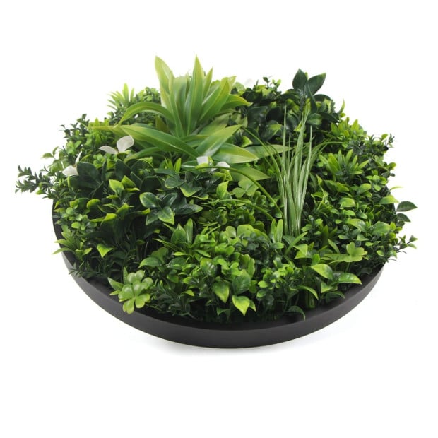 Flowering Artificial Green Wall Disc UV Resistant 50cm (Black Frame) Image 5