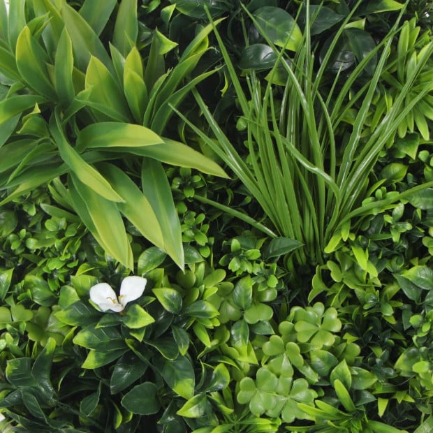 Flowering Artificial Green Wall Disc UV Resistant 50cm White Frame Image 2