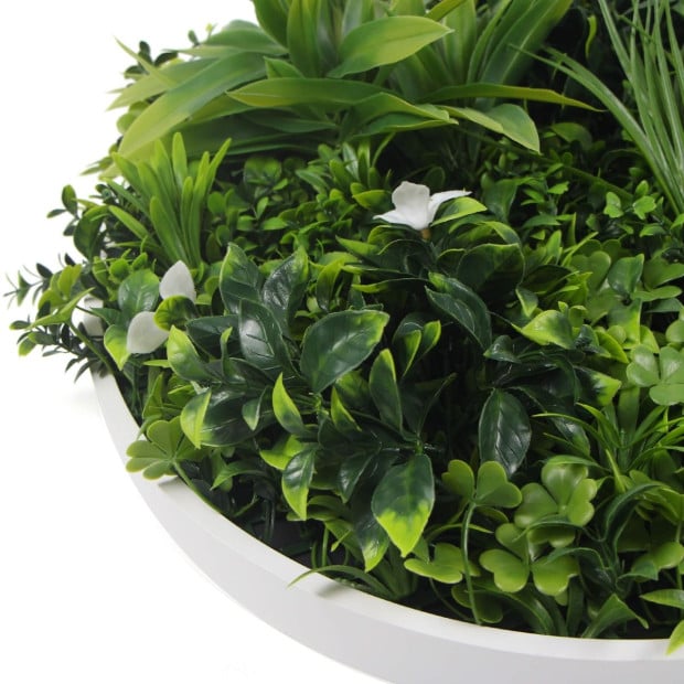 Flowering Artificial Green Wall Disc UV Resistant 50cm White Frame Image 4
