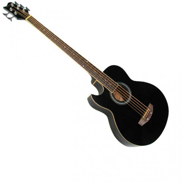 Left Handed 5 String Acoustic Bass