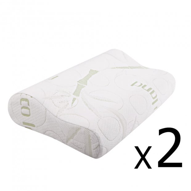 Giselle Bedding Set of 2 Bamboo Pillow with Memory Foam