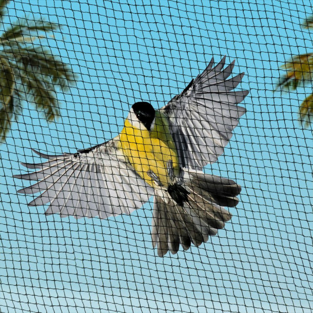 Bird Netting Net Anti Pest Fruit Trees Plant 10x30m 30GSM Black Image 8