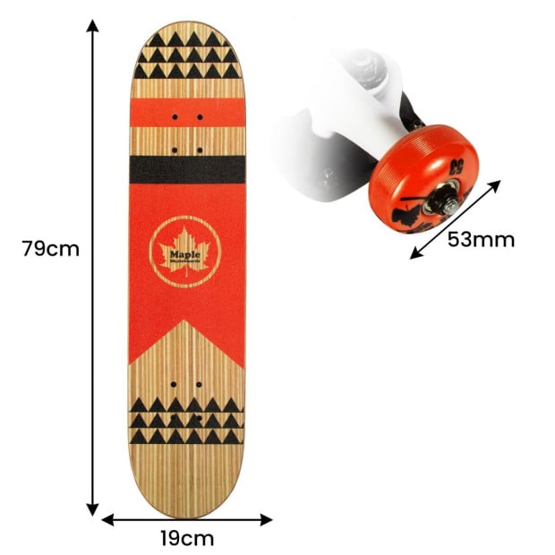 Maple TGT 31-inch Masters Series Popsicle Skateboard - Kids Image 4
