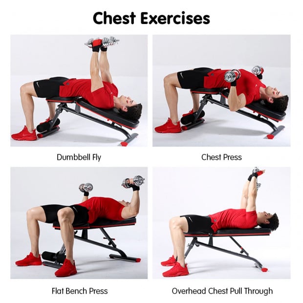 Powertrain Home Gym Bench Adjustable Flat Incline Decline FID Image 10