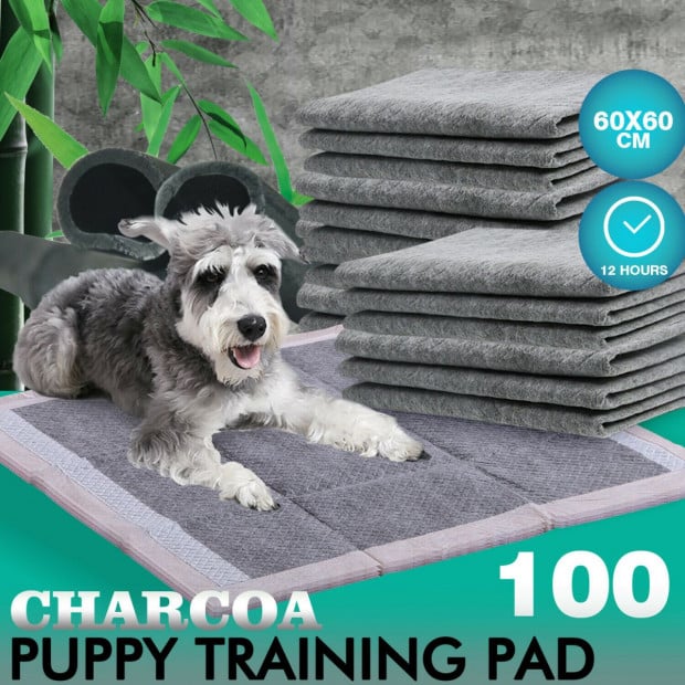 100 Pcs 60x60cm Charcoal Pet Puppy Toilet Training Pads Image 2