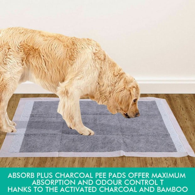 100 Pcs 60x60cm Charcoal Pet Puppy Toilet Training Pads Image 10