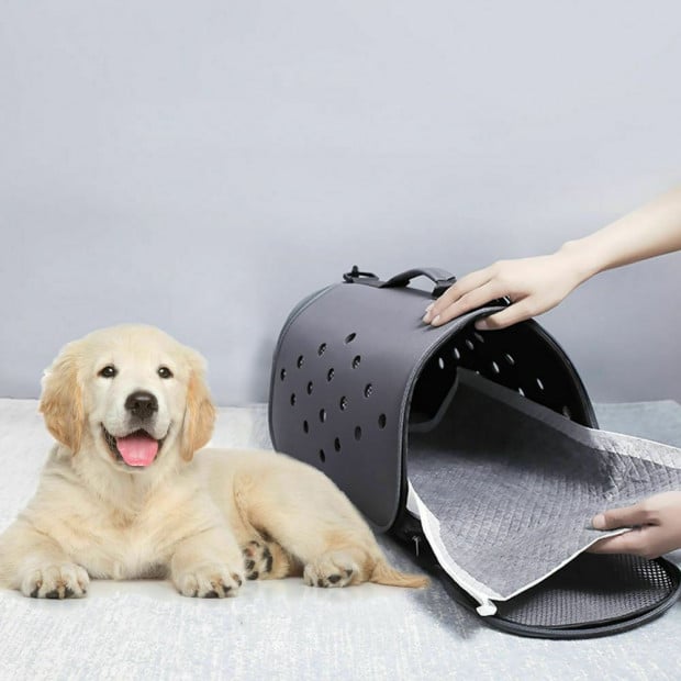100 Pcs 60x60cm Charcoal Pet Puppy Toilet Training Pads Image 11