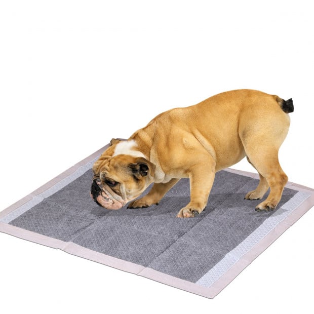 200pcs Absorb Plus Charcoal Pet Toilet Training Pads 60x60cm Image 2