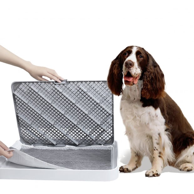 200pcs Absorb Plus Charcoal Pet Toilet Training Pads 60x60cm Image 4