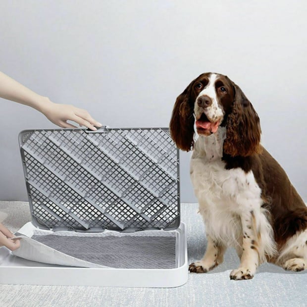 100 Pcs 60x60cm Charcoal Pet Puppy Toilet Training Pads Image 3