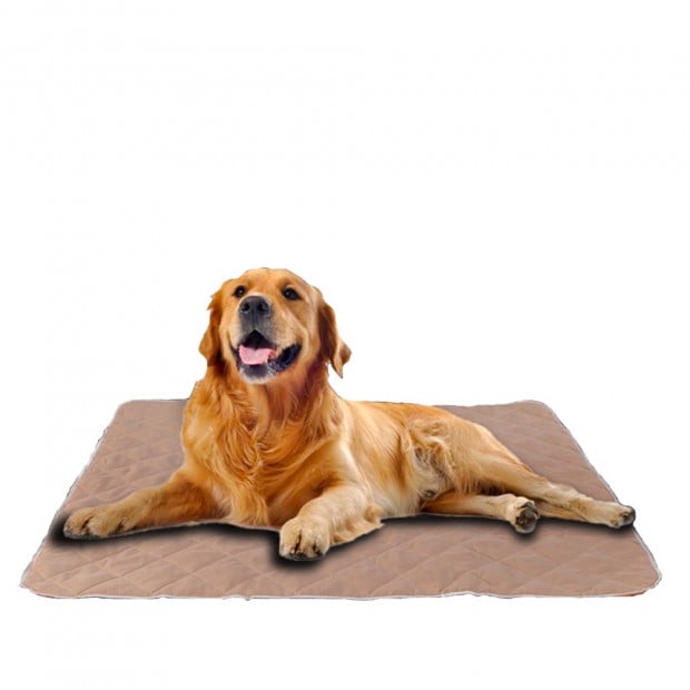 2pcs Waterproof Washable Training Pee Pads -xl