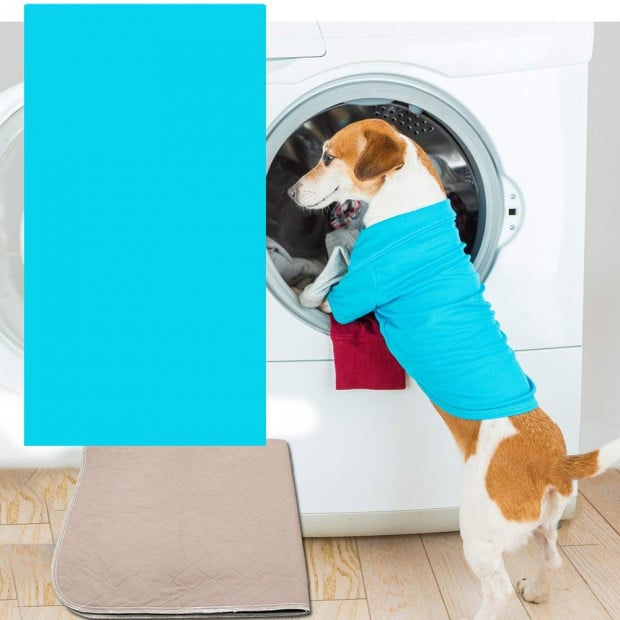 2pcs Waterproof Washable Training Pee Pads -xl Image 4