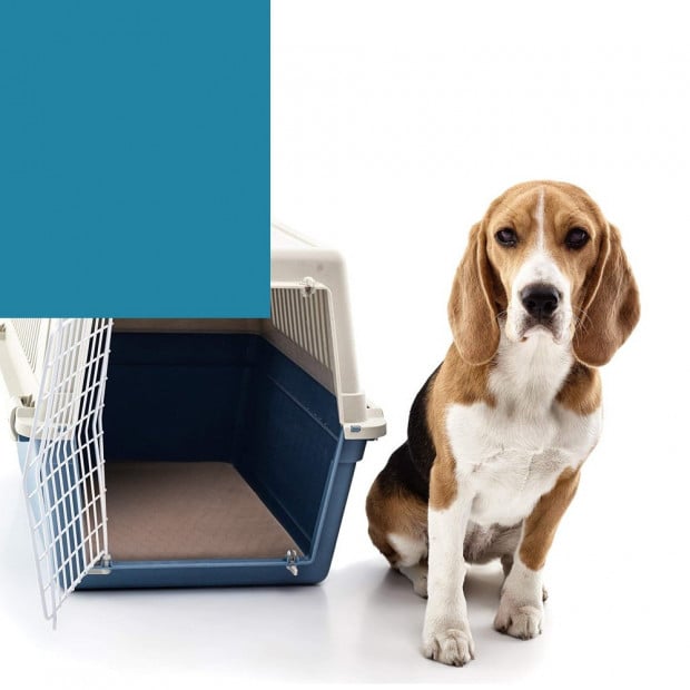 2pcs Waterproof Washable Training Pee Pads - Jumbo Image 5