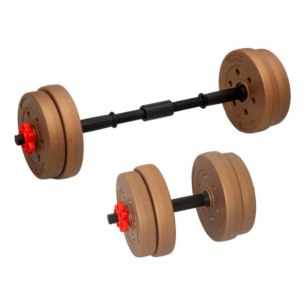 Powertrain Adjustable 20kg Home Gym Dumbbell Barbell Weights Gold