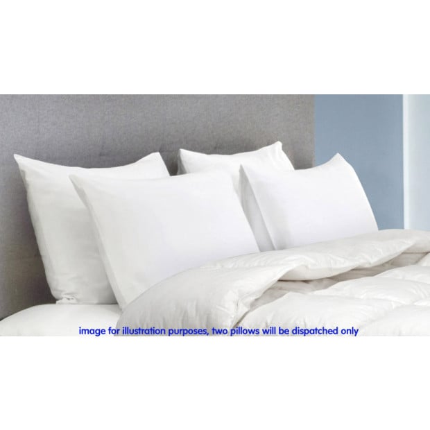 Duck Feather Down Pillows Set Image 3