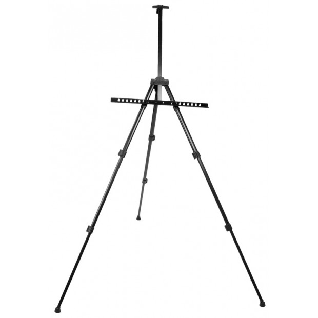 Light portable artist and display easel