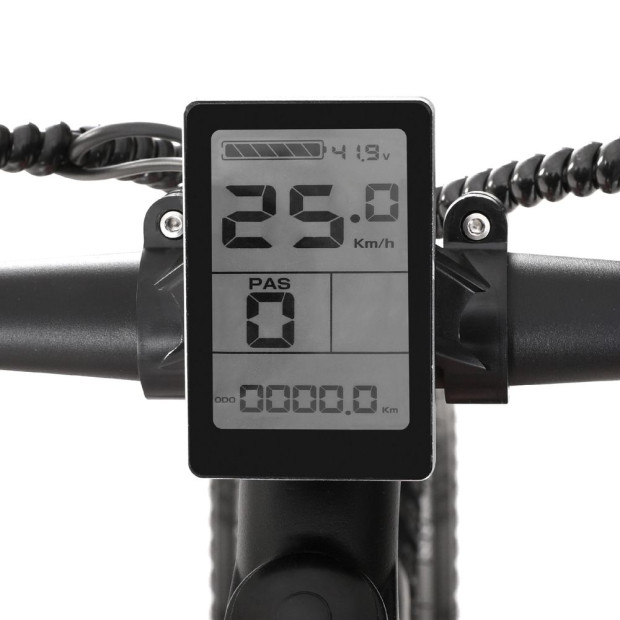26 Inch Electric Bike Mountain Bicycle Ebike Built-in Battery 250w Image 4