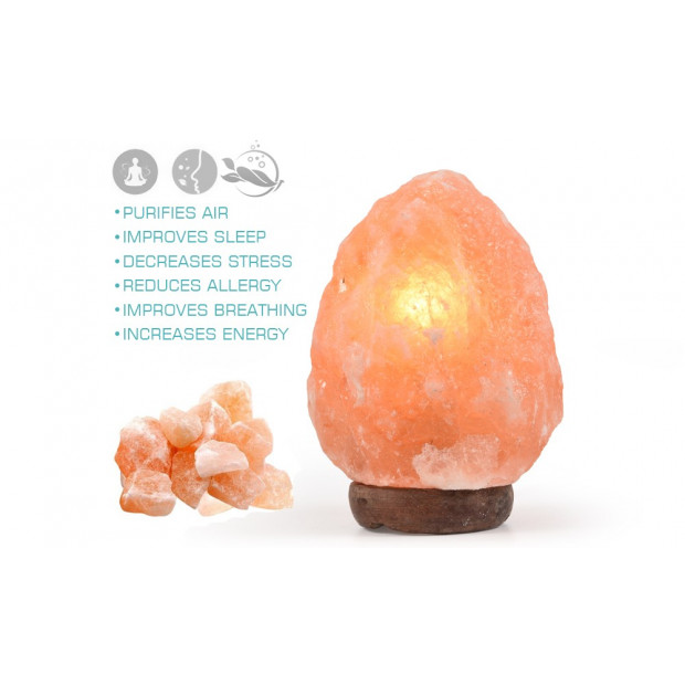 Himalayan Salt Lamp Natural Crystal Rock Dimmer Night Light 5-7kg Image 4