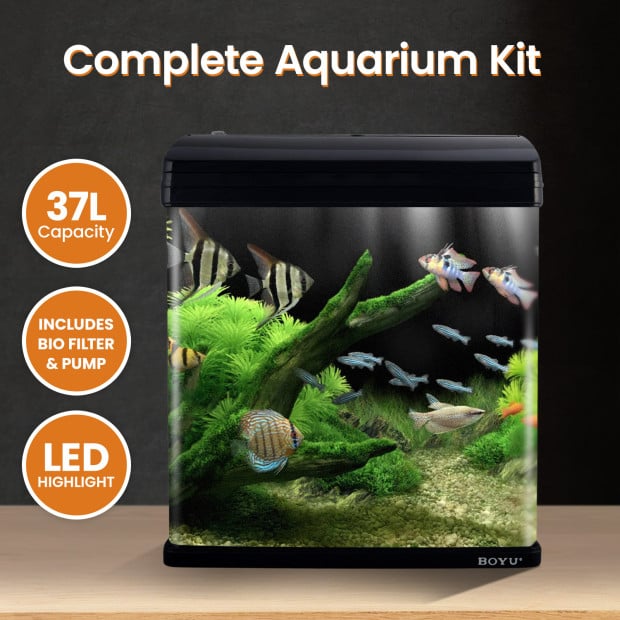 Complete aquarium 2025