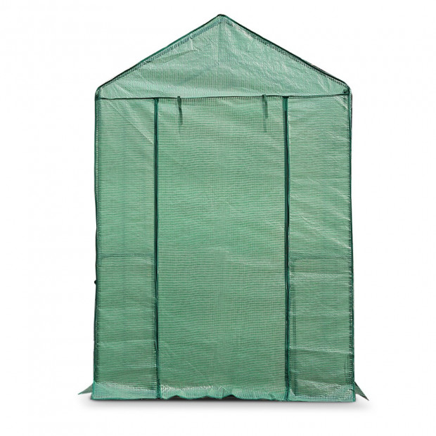 1.9 x 1.2M Walk-in All Weather Green House Image 4