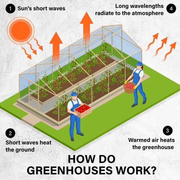 350cm Greenhouse PE Apex Roof - Green Image 2